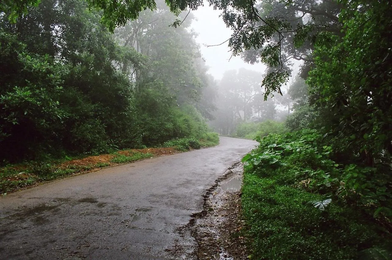 Hotel Emerald Inn Munnar