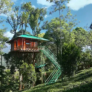 Resort Dream Catcher Plantation